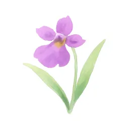 ウチョウランのイラスト