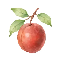 スモモのイラスト