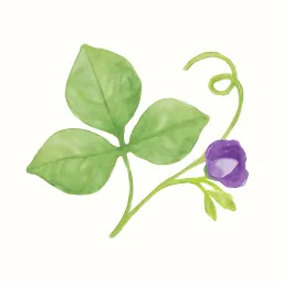 クズのイラスト