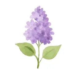 ライラックのイラスト
