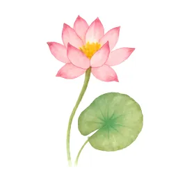 ハスのイラスト