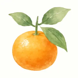 ミカンのイラスト