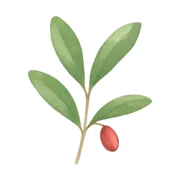 ナギのイラスト
