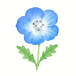 ネモフィラのイラスト