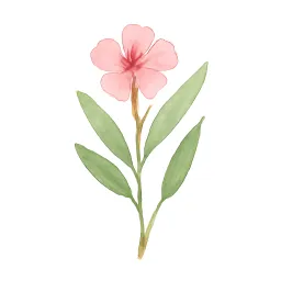 キョウチクトウのイラスト