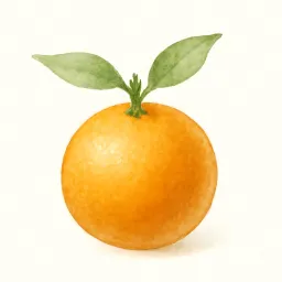 オレンジのイラスト