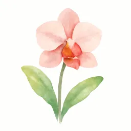 ランのイラスト