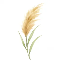 ススキのイラスト