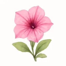 ペチュニアのイラスト
