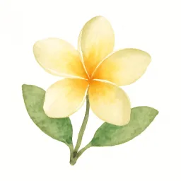 プルメリアのイラスト