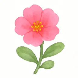 ポーチュラカのイラスト
