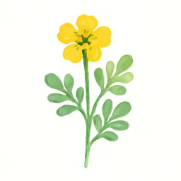 ルーのイラスト