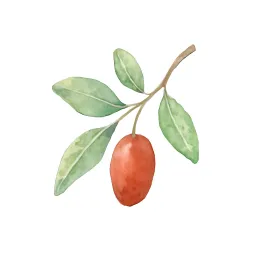 グミのイラスト