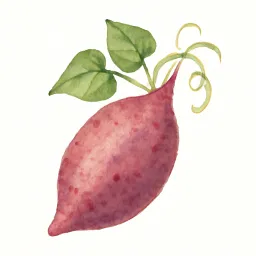 サツマイモのイラスト