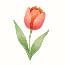 チューリップのイラスト