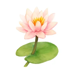 スイレンのイラスト
