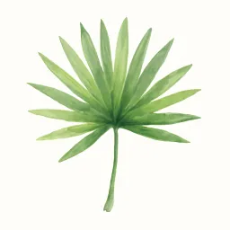 シュロのイラスト