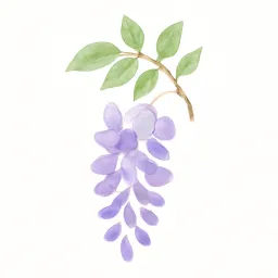 フジのイラスト