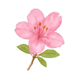 ヤシオツツジのイラスト