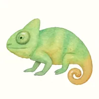 カメレオンのイラスト