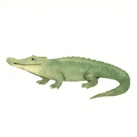 ワニのイラスト