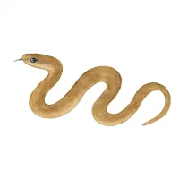 ヒバカリのイラスト