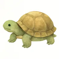 カメのイラスト