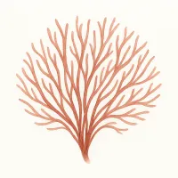 フノリのイラスト