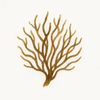 モズクのイラスト