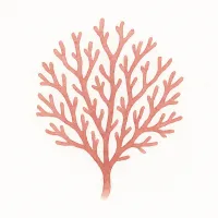 テングサのイラスト