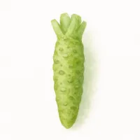 ワサビのイラスト