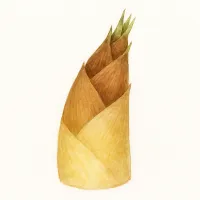 タケノコのイラスト
