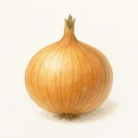 タマネギのイラスト