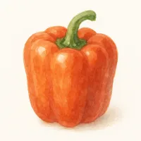 パプリカのイラスト