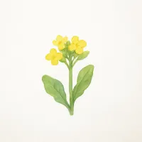 ナノハナのイラスト