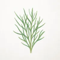 オカヒジキのイラスト