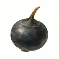クロクワイのイラスト