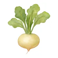 スグキナのイラスト