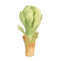 タラノメのイラスト